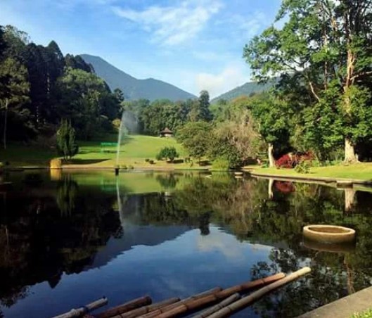 wisata alam cianjur kebun raya cibodas